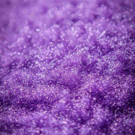 Purple Sea Moss What You Need To Know Before You Dive In