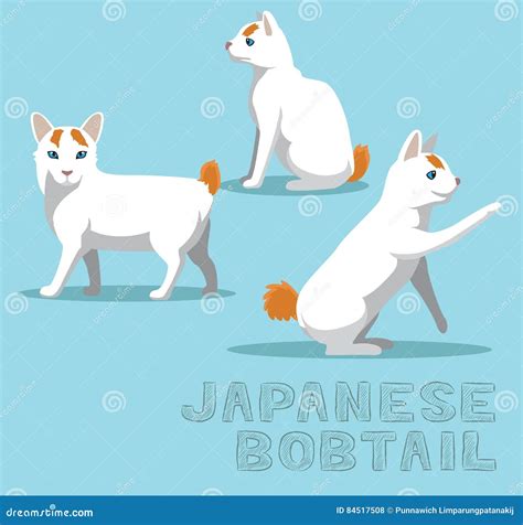 Cat Japanese Bobtail Cartoon Vector Illustration