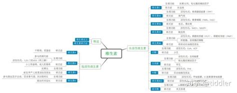 生物化学——维生素思维导图（系列四） 知乎