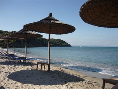 Strand Atrium Hotel Thassos Potos • Holidaycheck Thassos Griechenland