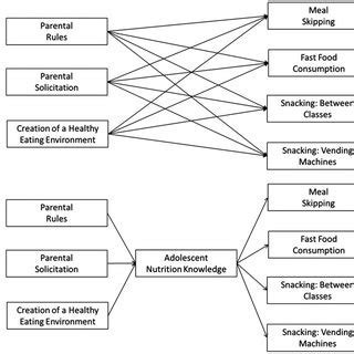 Conceptual figure displaying direct and indirect structural equation ... 