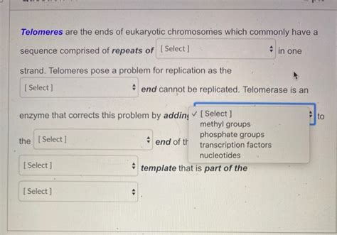 Solved Telomeres are the ends of eukaryotic chromosomes | Chegg.com 