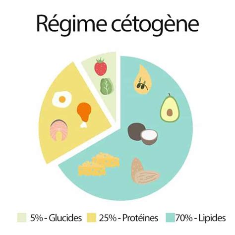 Quelles Sont Les Phases Avant Et Apr S Un R Gime C Tog Ne