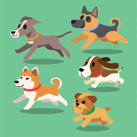 Royalty Free Dogs Running Clip Art Vector Images And Illustrations Istock