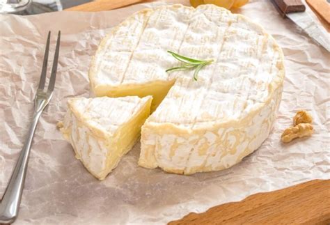 Descubre Los Secretos Del Queso Perfecto Para Congelar En Casa Y