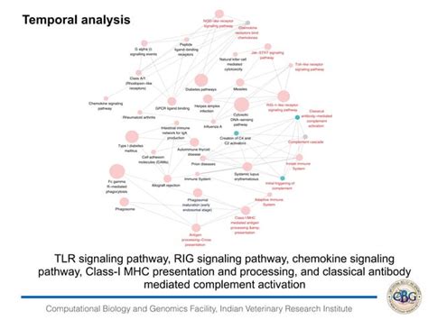 NGS data analysis Overview