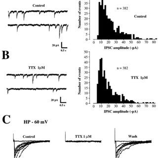 Effect Of Tetrodotoxin TTX 1 M On Spontaneous And Electrically