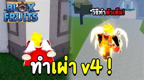 Blox Fruits เผ่า V4 มาแล้ว อัปเดตใหม่ วิธีทำเผ่าตื่น V4 ละเอียด Youtube