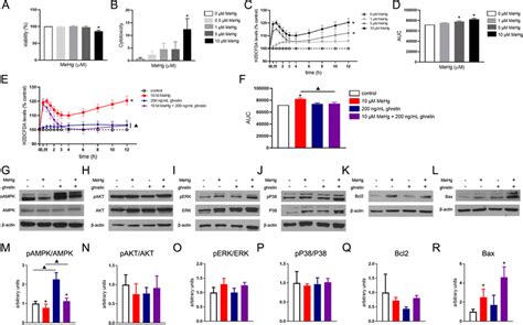 Ghrelin Ameliorates MeHg Induced Oxidative Stress In 5 Primary