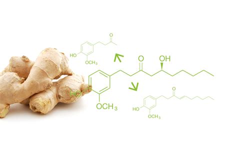 Fresh Cooked Or Dried Ginger How To Differentiate In Aromas And