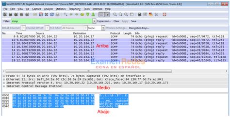 5 1 1 7 Práctica de laboratorio Uso de Wireshark para examinar las