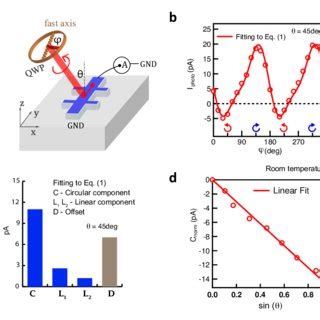 Polarization Dependent Photocurrent At Room Temperature A Schematic Of