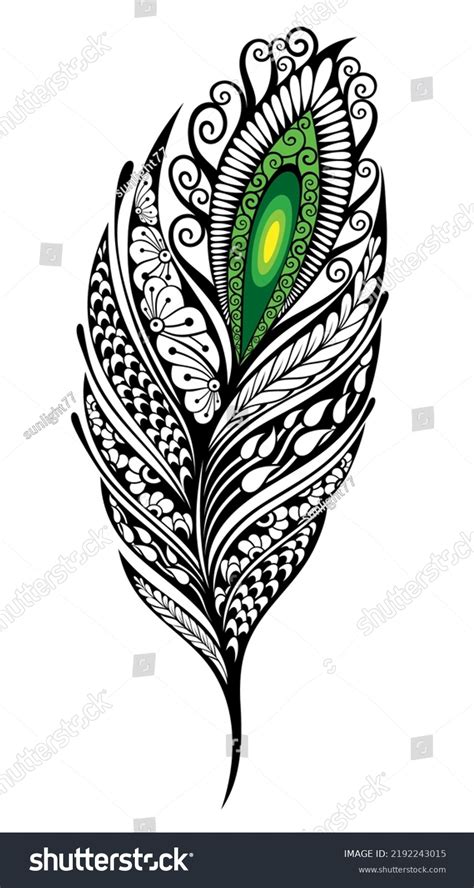 Peacock Feather Vector Peacock Feathers Illustration Stock Vector Royalty Free 2192243015