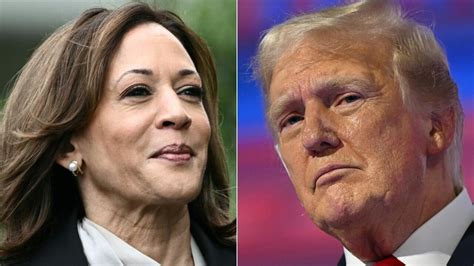 Trump Y Harris Cabeza A Cabeza En Los Sondeos Para Las Presidenciales