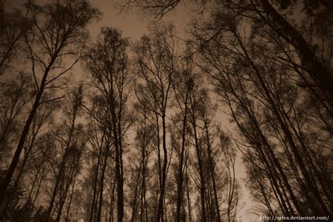 ominous forest by Erfea on DeviantArt