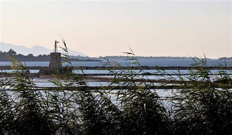 Stagnone Nature Reserve Or Natural Reserve Of The Saline Dello