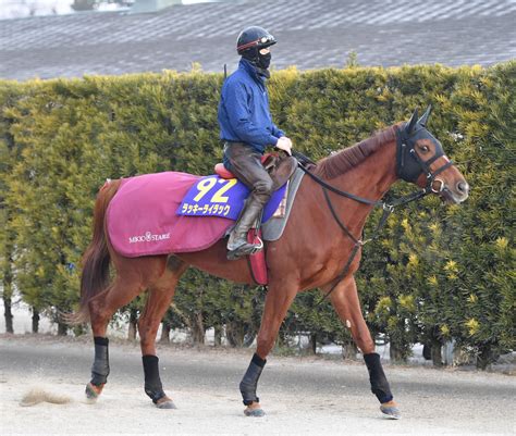 【有馬記念】ラッキーライラック、有終の美飾る 松永幹師「やることをやった」 競馬ニュース Netkeiba