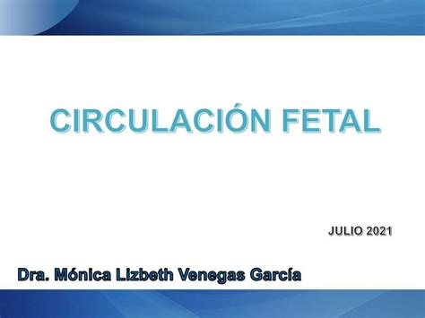 Circulaci N Fetal Monica Venegas Udocz