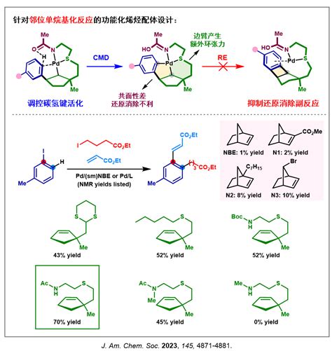钯 烯烃协同催化体系的发展