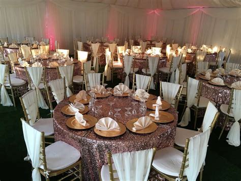 Blush pink and gold quinceñera Quinceañera Party Ideas Photo 6 of 12