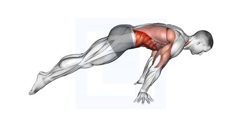 Lean Planche - Guide, Benefits, and Form