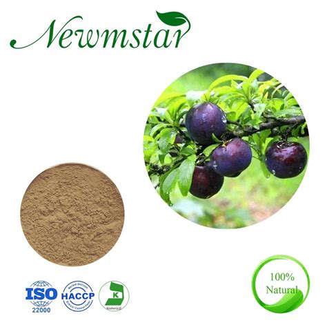 African Plum Extract Prunus Africana Extract Pygeum Africanum Extract