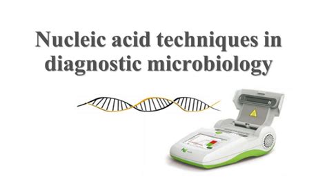 Nucleic Acid Techniques In Diagnostic Microbiology Ppt