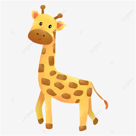 Cute Giraffe White Transparent Cartoon Cute Animal Giraffe Zoo