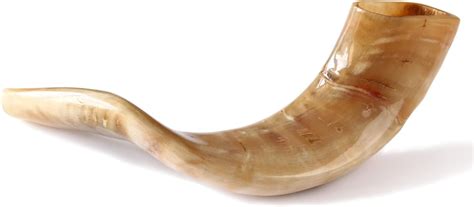 Traditional Shofar From Israel Jewish Natural Musical