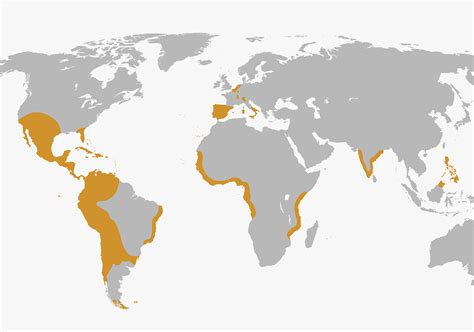 Para Qu Sirvi El Imperio Espa Ol Espa Oles De Cuba