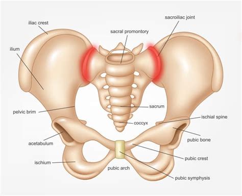 What You Can Do About Sacroiliac Joint Pain SpineOne