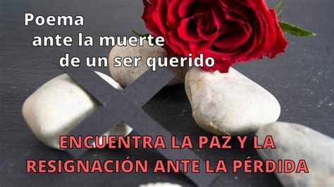 Encuentra La Paz Y La Resignacion Ante La Perdida Poema No Me He Ido