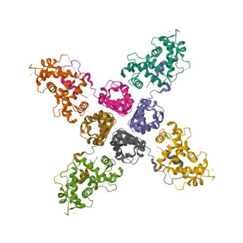 Rcsb Pdb Nz Crystal Structure Of Potassium Channel Kv In