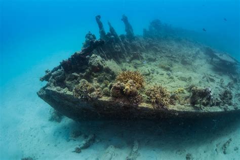 古宇利丸 古宇利連絡船 【木造の沈没船】② 水中写真撮影 空 良太郎