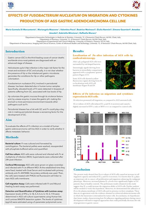 Pdf Effects Of Fusobacterium Nucleatum On Migration And Cytokines