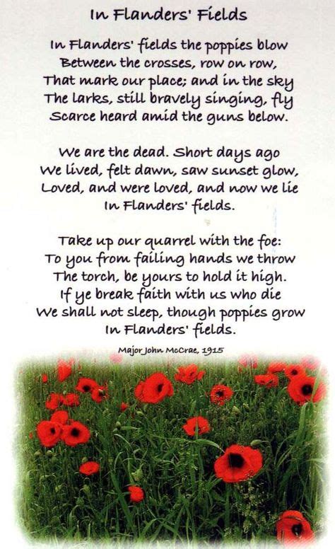 In Flanders Fields Is A Poem Written During The First World War By