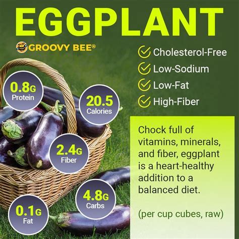 Eggplant Nutrition Facts | Eggplant nutrition facts, Heart healthy ...