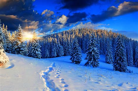 Fonds d ecran Photographie de paysage Saison Hiver Forêts Ciel Levers