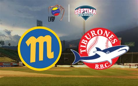 Round Robin LVBP Magallanes vs Tiburones Dónde ver EN VIVO Hoy 8 01