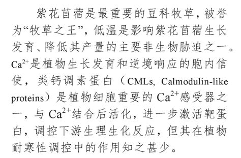 郭振飞教授团队揭示类钙调素蛋白调控苜蓿耐寒性的分子机制 中国草学会