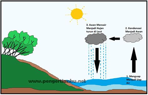 Siklus Hidrologi Pengertian Proses Siklus Dan Tahapannya Images