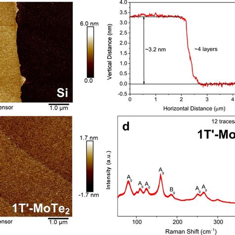 One Step Growth Of 1t′ Mote2 And 2h Mote2 On A Single Substrate And Download Scientific Diagram