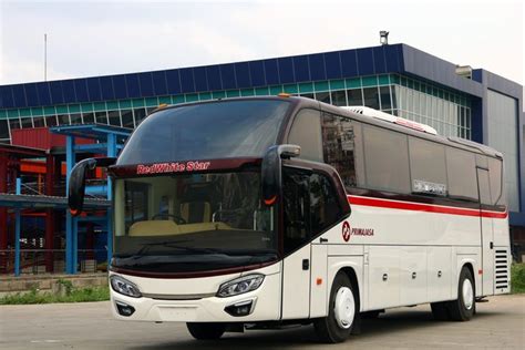 Tak Seberuntung Akap Bus Pariwisata Nihil Kandang Macan Karena Alasan