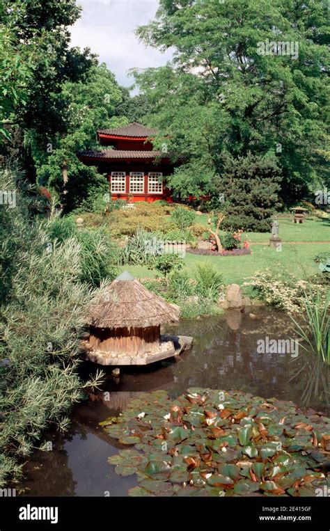 du teich  res stock photography  images alamy