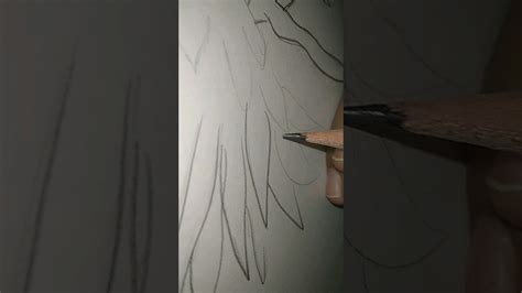 I Draw A Bird Sitting On The Branch Drawing Art Jisoodrawing