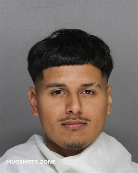 HERNANDEZ GUSTAVO 10 21 2023 Ellis County Mugshots Zone