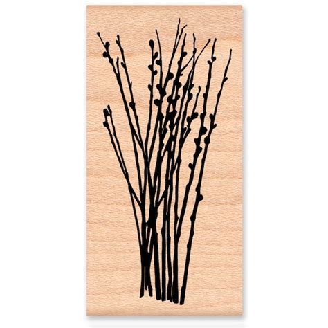 Pussy Willow Branch Etsy