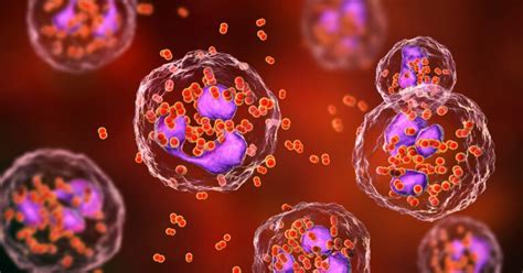 The Causes Of Vaginal Bleeding After Sex Post Coital Bleeding