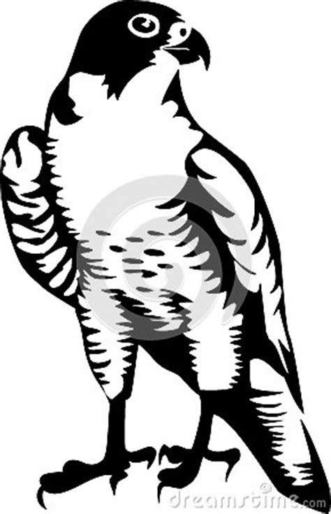 Falcon clipart - Clipground