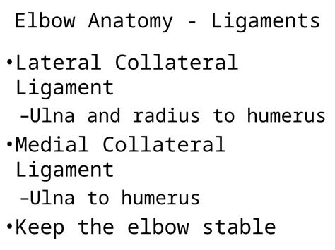 Ppt Elbow Flexors And Extensors Elbow Anatomy Bones Humerus